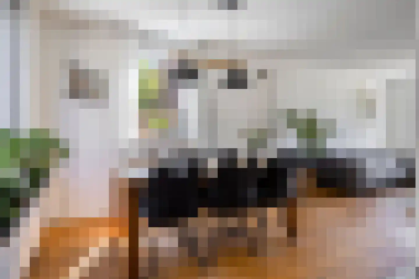 Bannerschulte 17 Vries thumbnail 18