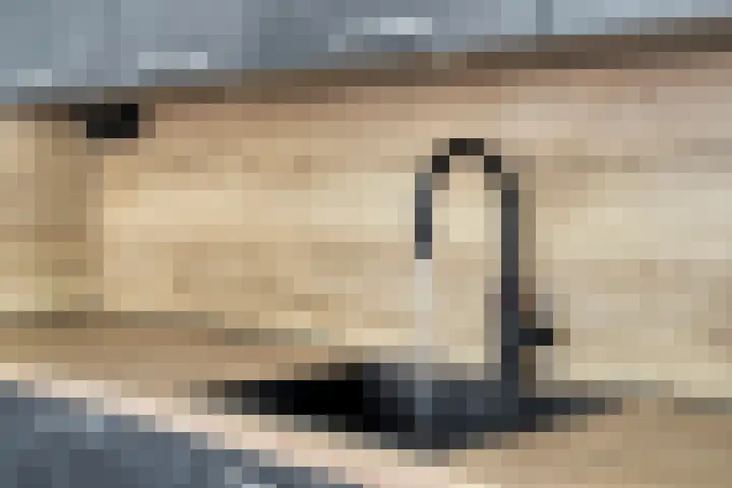 Bannerschulte 17 Vries thumbnail 20