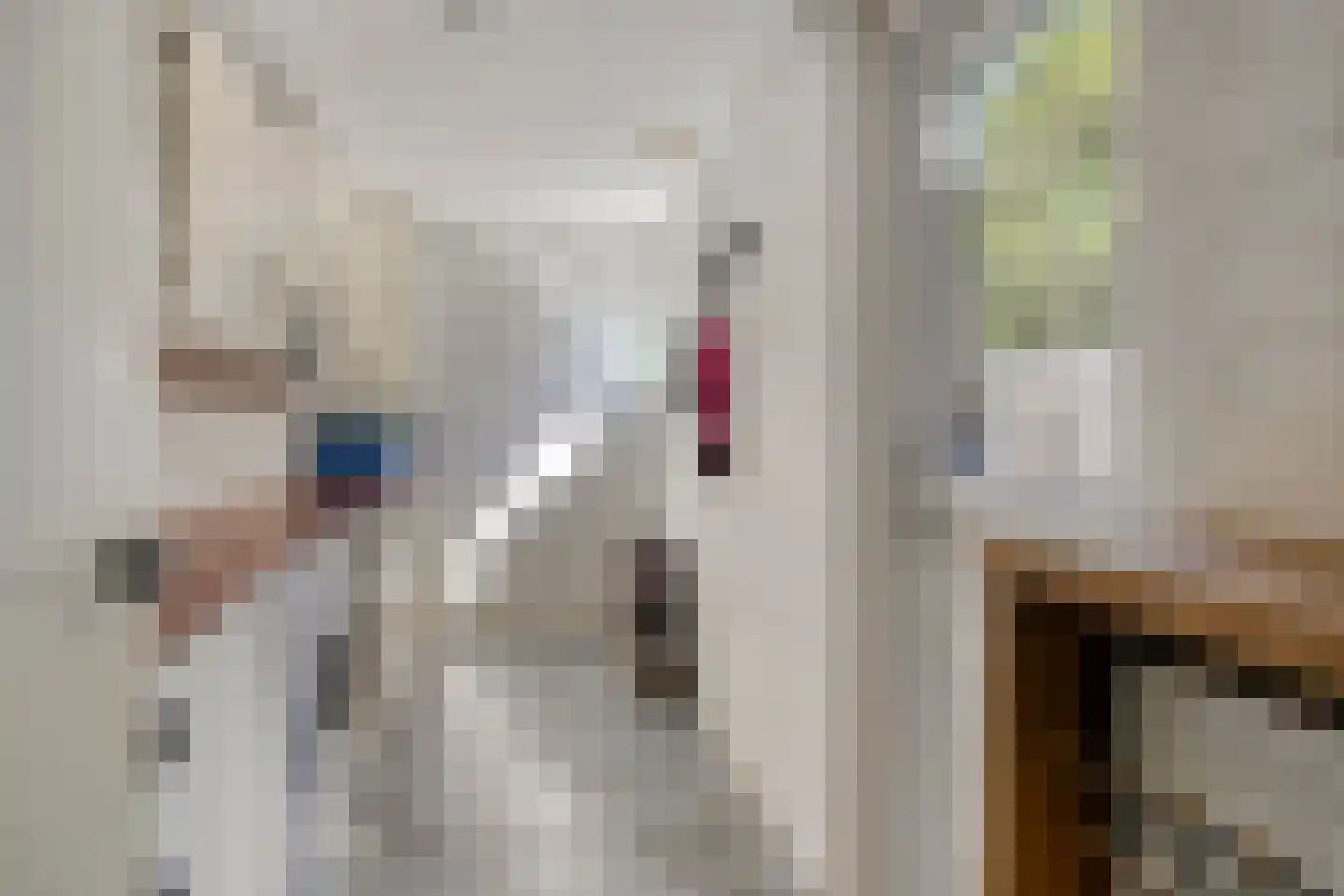 Bannerschulte 17 Vries thumbnail 22