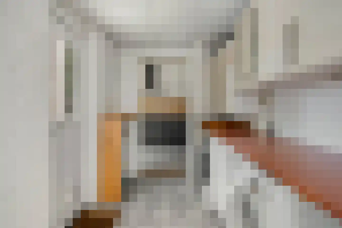 Bannerschulte 17 Vries thumbnail 23