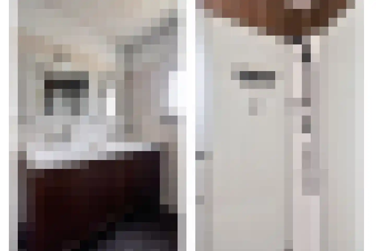Bannerschulte 17 Vries thumbnail 29