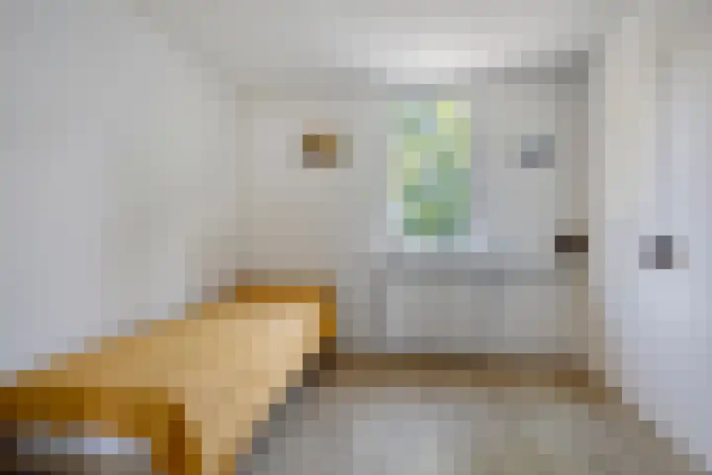 Bannerschulte 17 Vries thumbnail 30