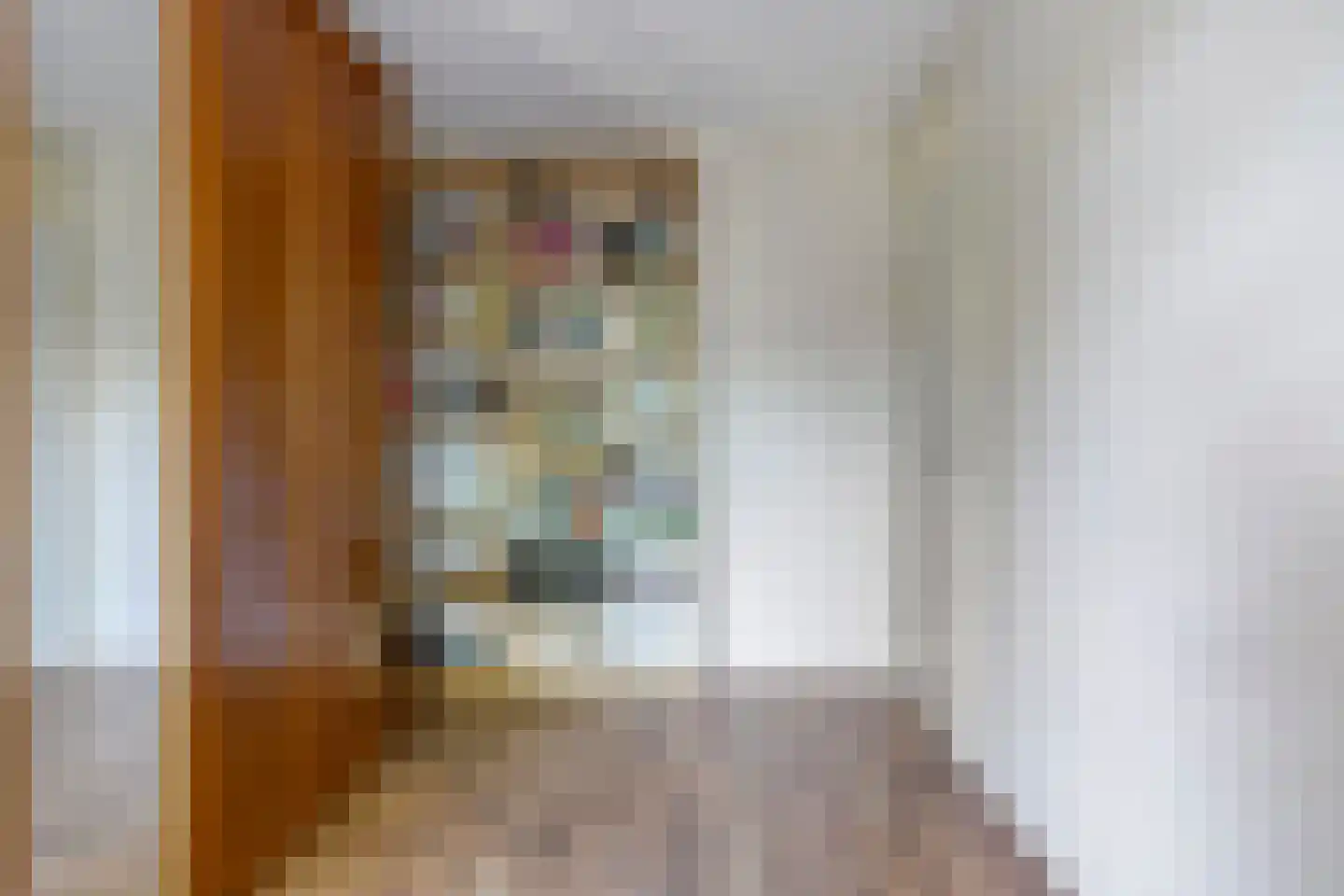 Bannerschulte 17 Vries thumbnail 34
