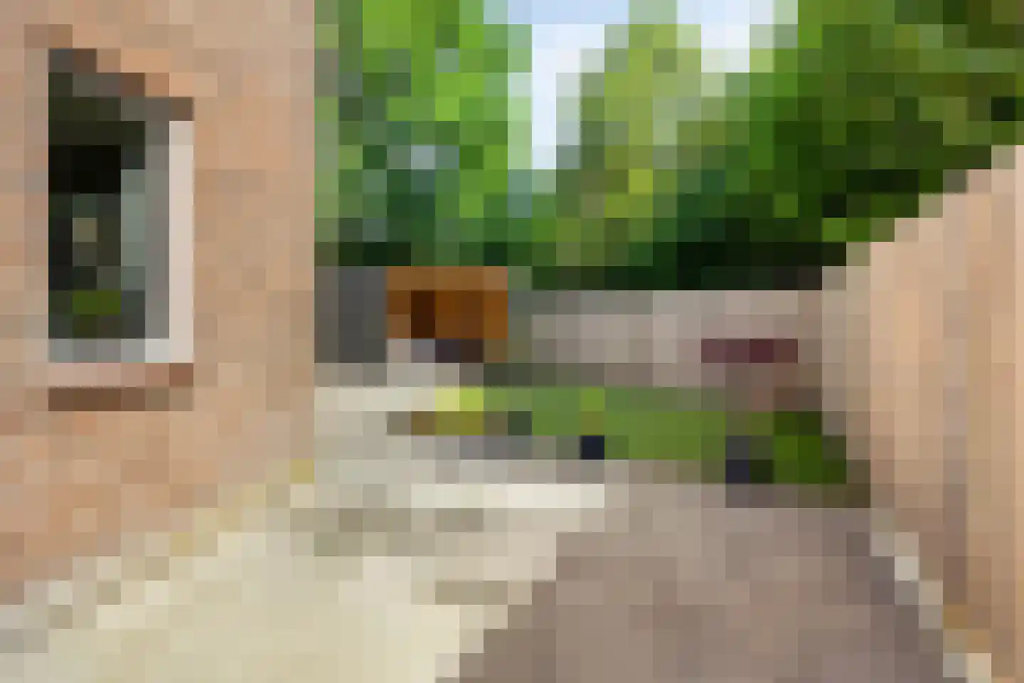 Bannerschulte 17 Vries thumbnail 43
