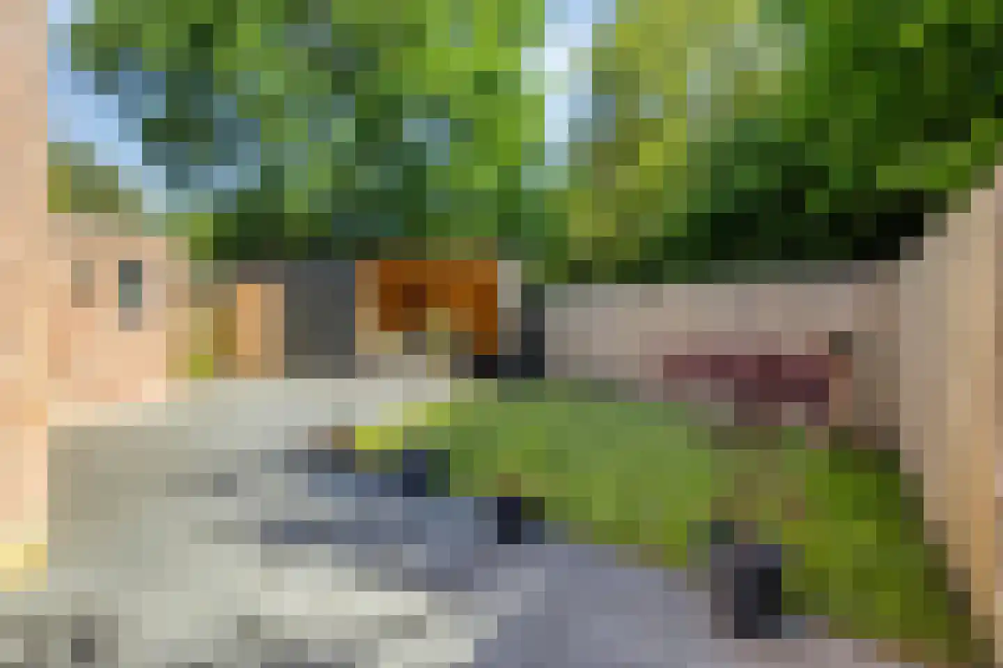Bannerschulte 17 Vries thumbnail 44