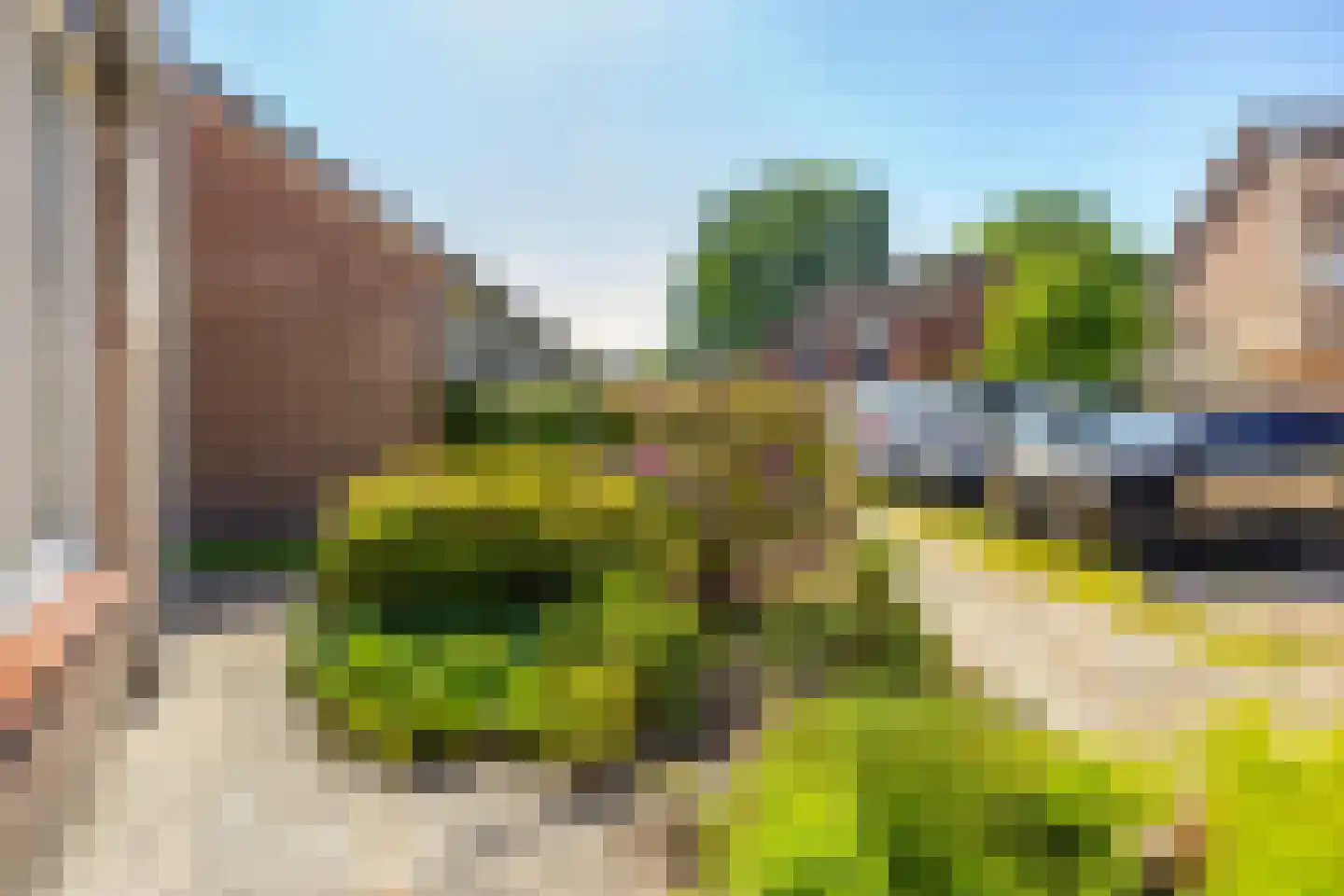 Bannerschulte 17 Vries thumbnail 46