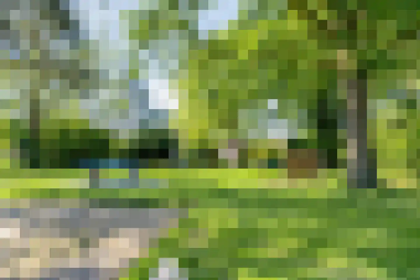 Bannerschulte 17 Vries thumbnail 49