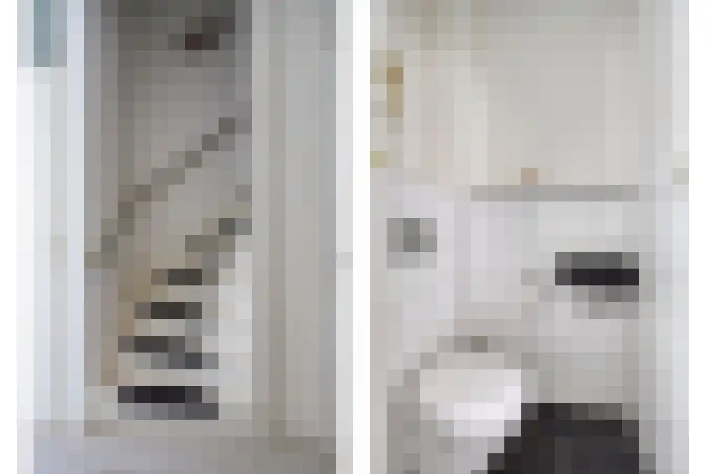 Bannerschulte 17 Vries thumbnail 9