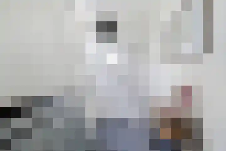 Bannerschultestraat 36 Sleen thumbnail 10