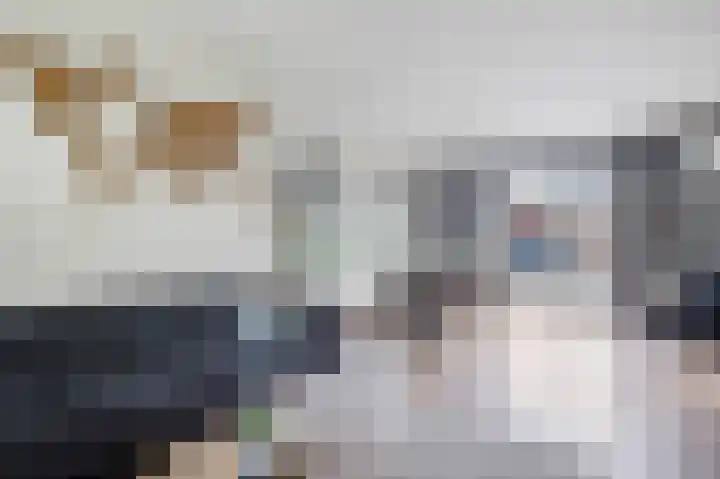 Bannerschultestraat 36 Sleen thumbnail 13