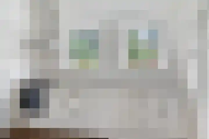Bannerschultestraat 36 Sleen thumbnail 19