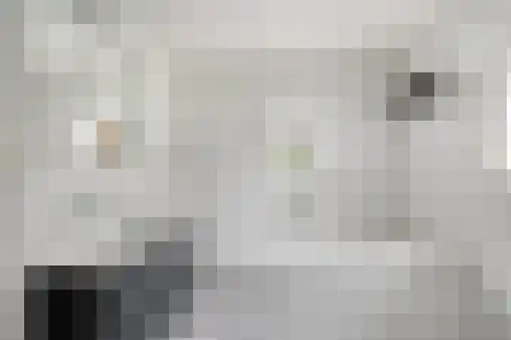 Bannerschultestraat 36 Sleen thumbnail 23