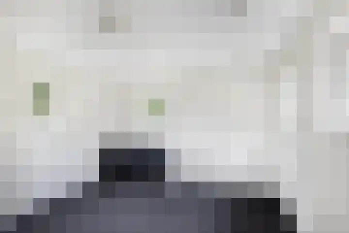 Bannerschultestraat 36 Sleen thumbnail 24