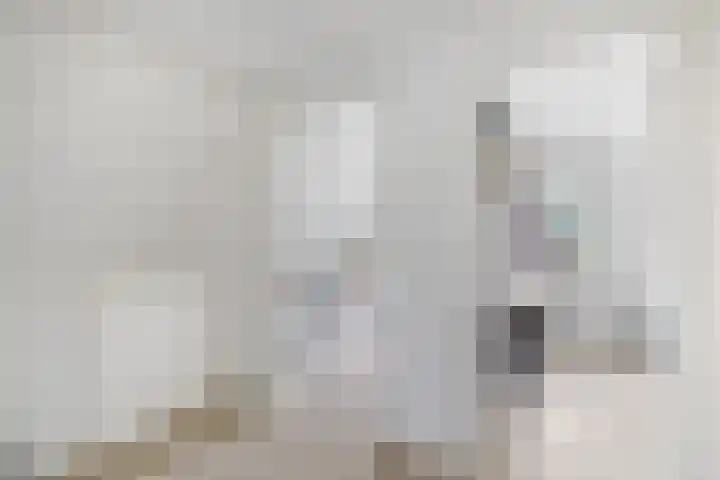Bannerschultestraat 36 Sleen thumbnail 28