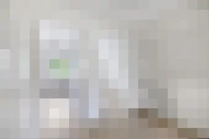 Bannerschultestraat 36 Sleen thumbnail 31