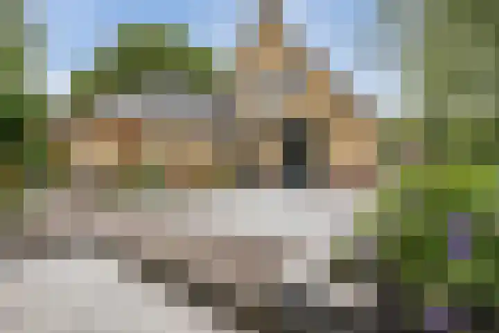 Bannerschultestraat 36 Sleen thumbnail 38