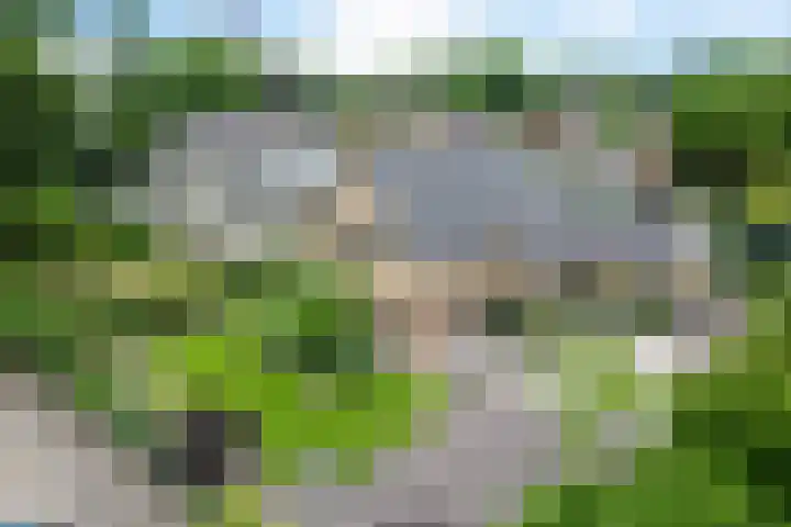 Bannerschultestraat 36 Sleen thumbnail 4