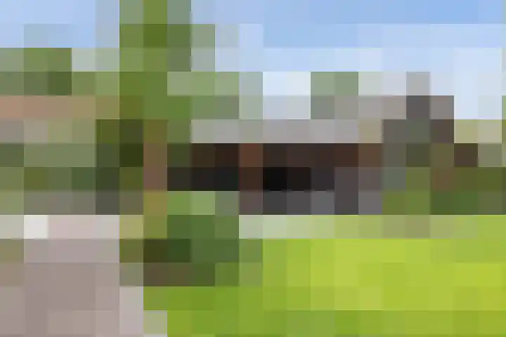 Bannerschultestraat 36 Sleen thumbnail 41