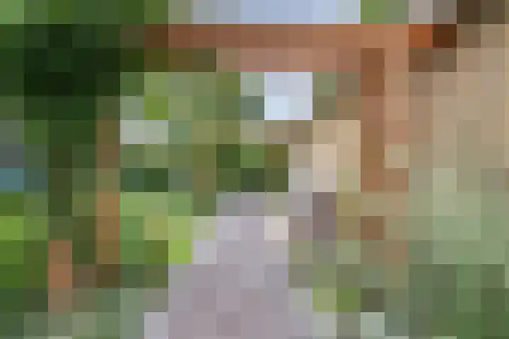 Bannerschultestraat 36 Sleen thumbnail 48