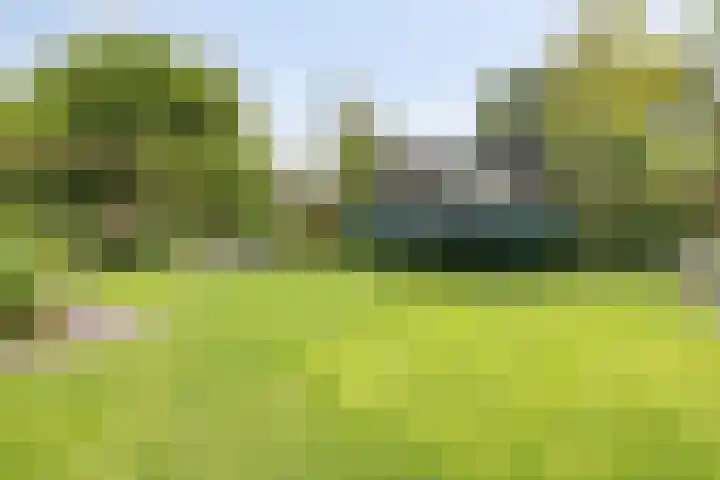 Bannerschultestraat 36 Sleen thumbnail 49