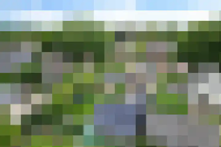 Bannerschultestraat 36 Sleen thumbnail 51
