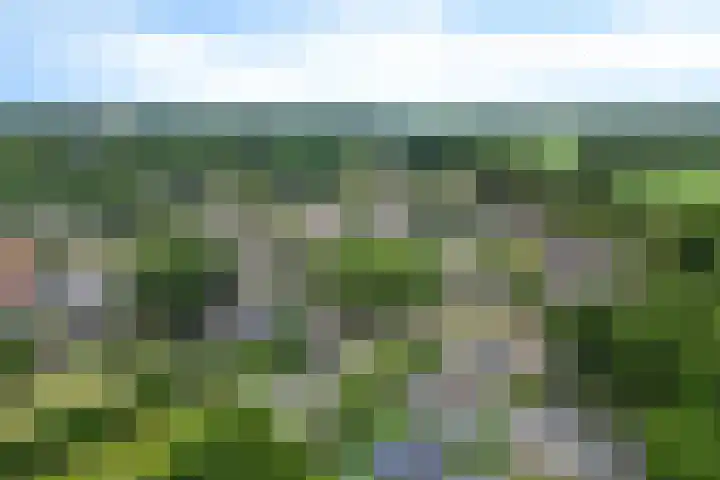 Bannerschultestraat 36 Sleen thumbnail 52