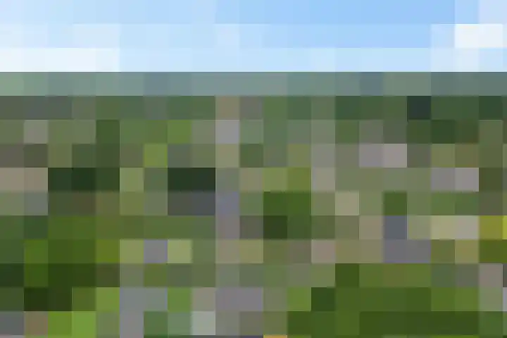 Bannerschultestraat 36 Sleen thumbnail 53