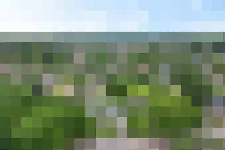 Bannerschultestraat 36 Sleen thumbnail 54