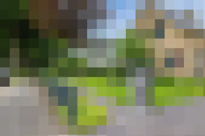 Bannerschultestraat 36 Sleen thumbnail 6