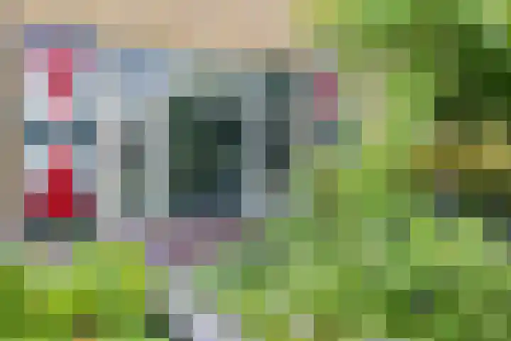 Bannerschultestraat 36 Sleen thumbnail 8