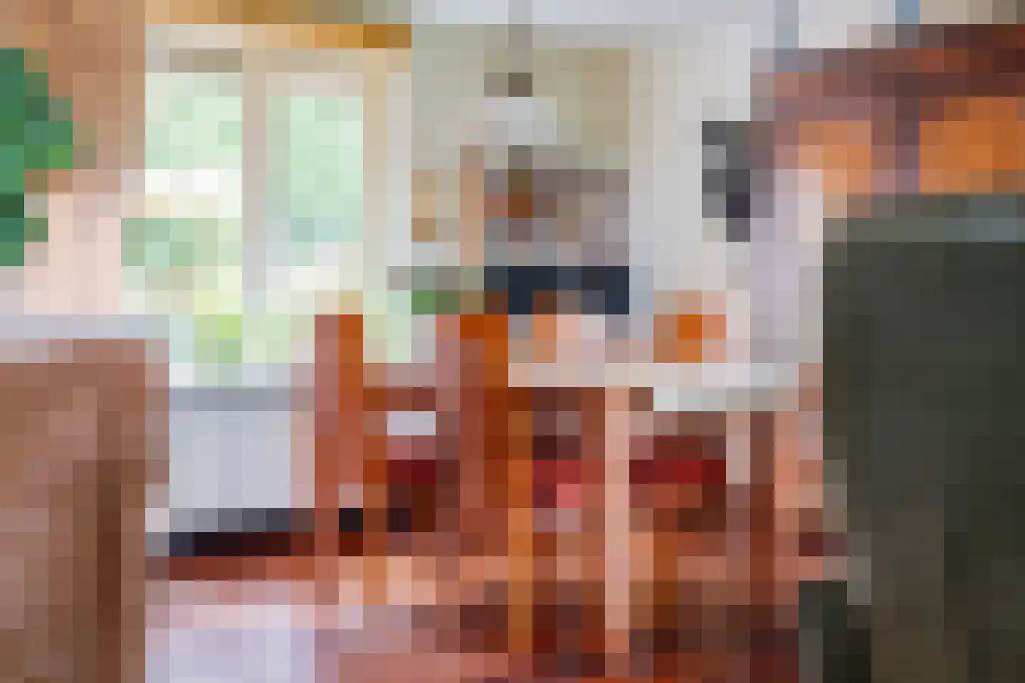Bannerschultestraat 42 Sleen thumbnail 17