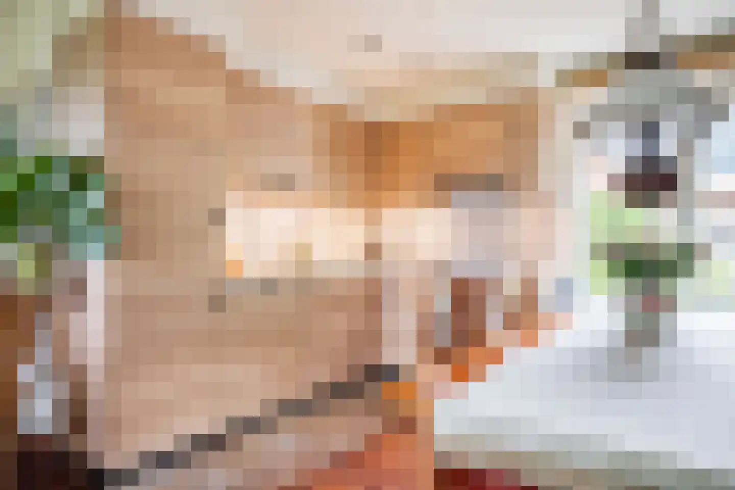 Bannerschultestraat 42 Sleen thumbnail 22