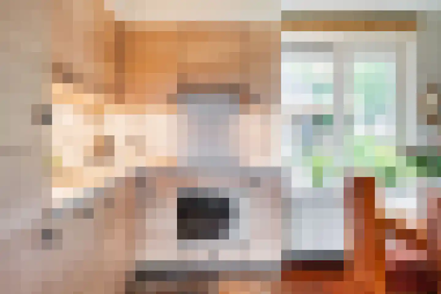 Bannerschultestraat 42 Sleen thumbnail 24