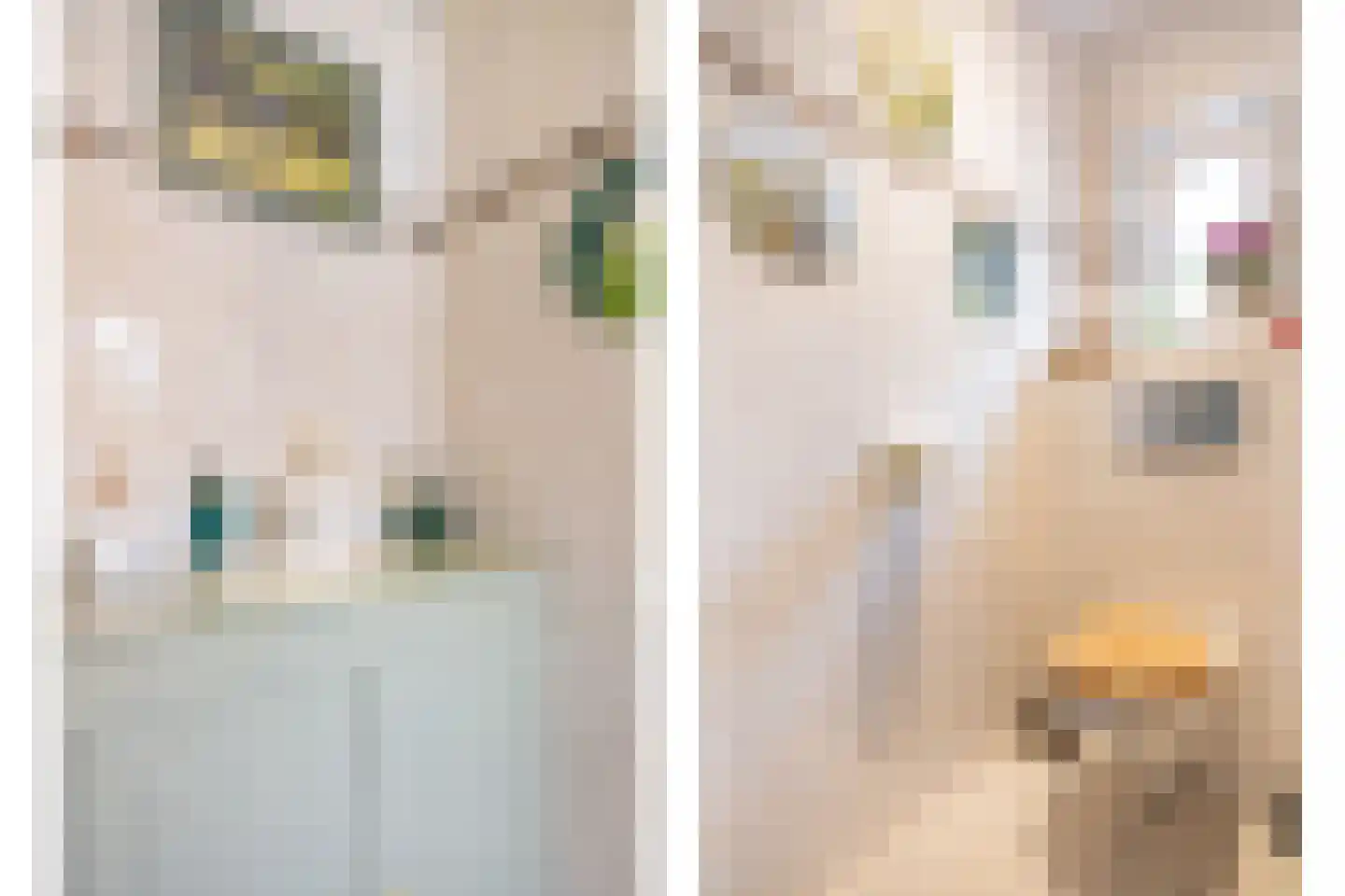 Bannerschultestraat 42 Sleen thumbnail 27
