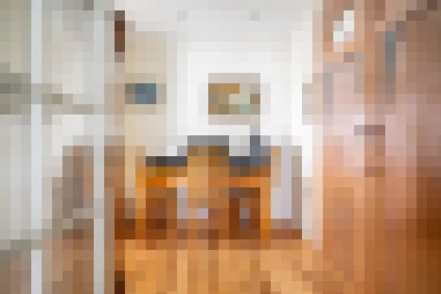 Bannerschultestraat 42 Sleen thumbnail 30