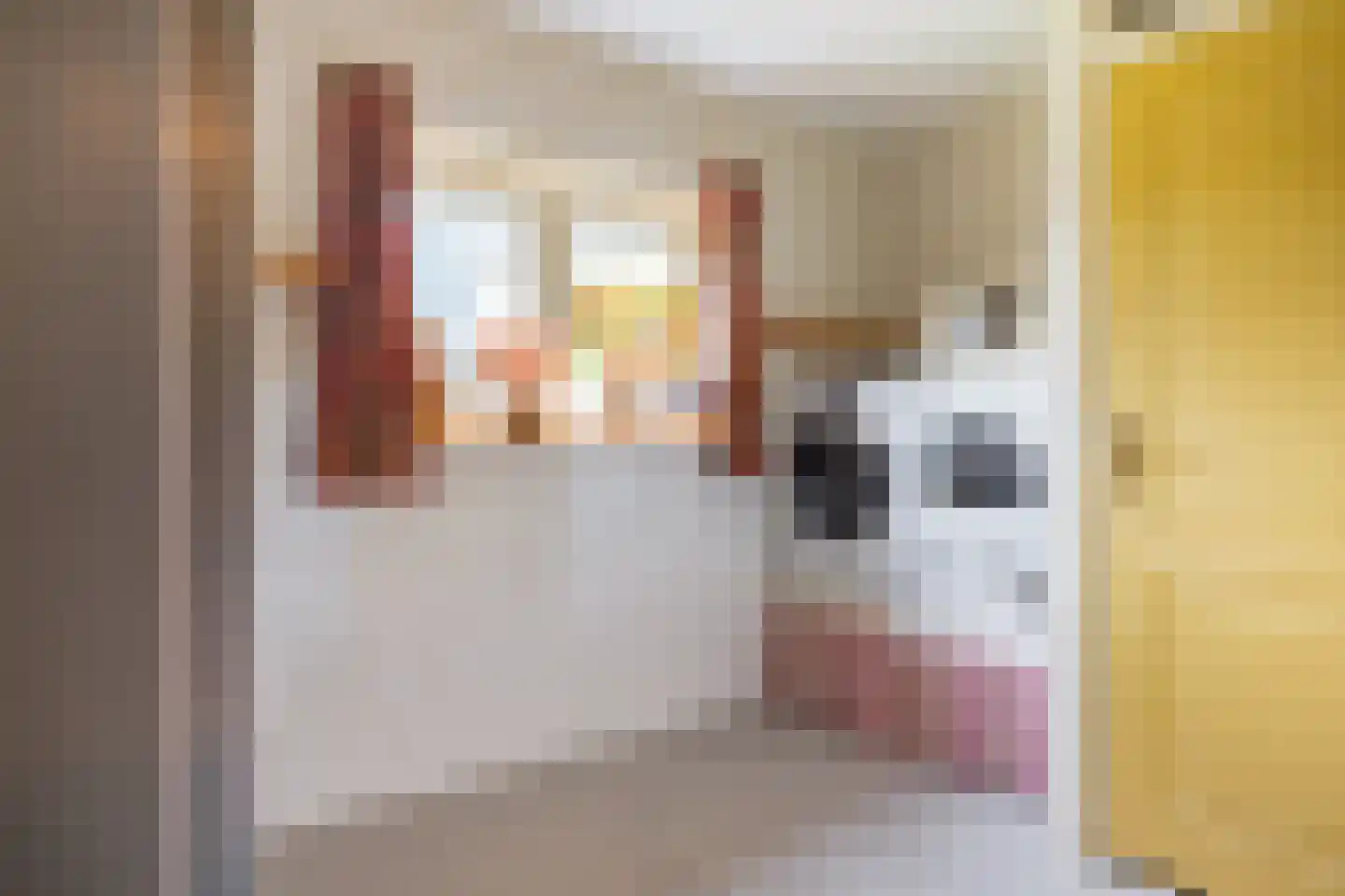 Bannerschultestraat 42 Sleen thumbnail 33
