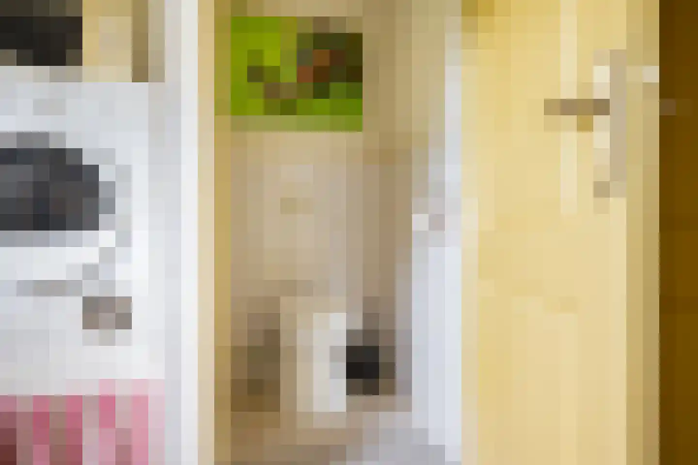 Bannerschultestraat 42 Sleen thumbnail 34