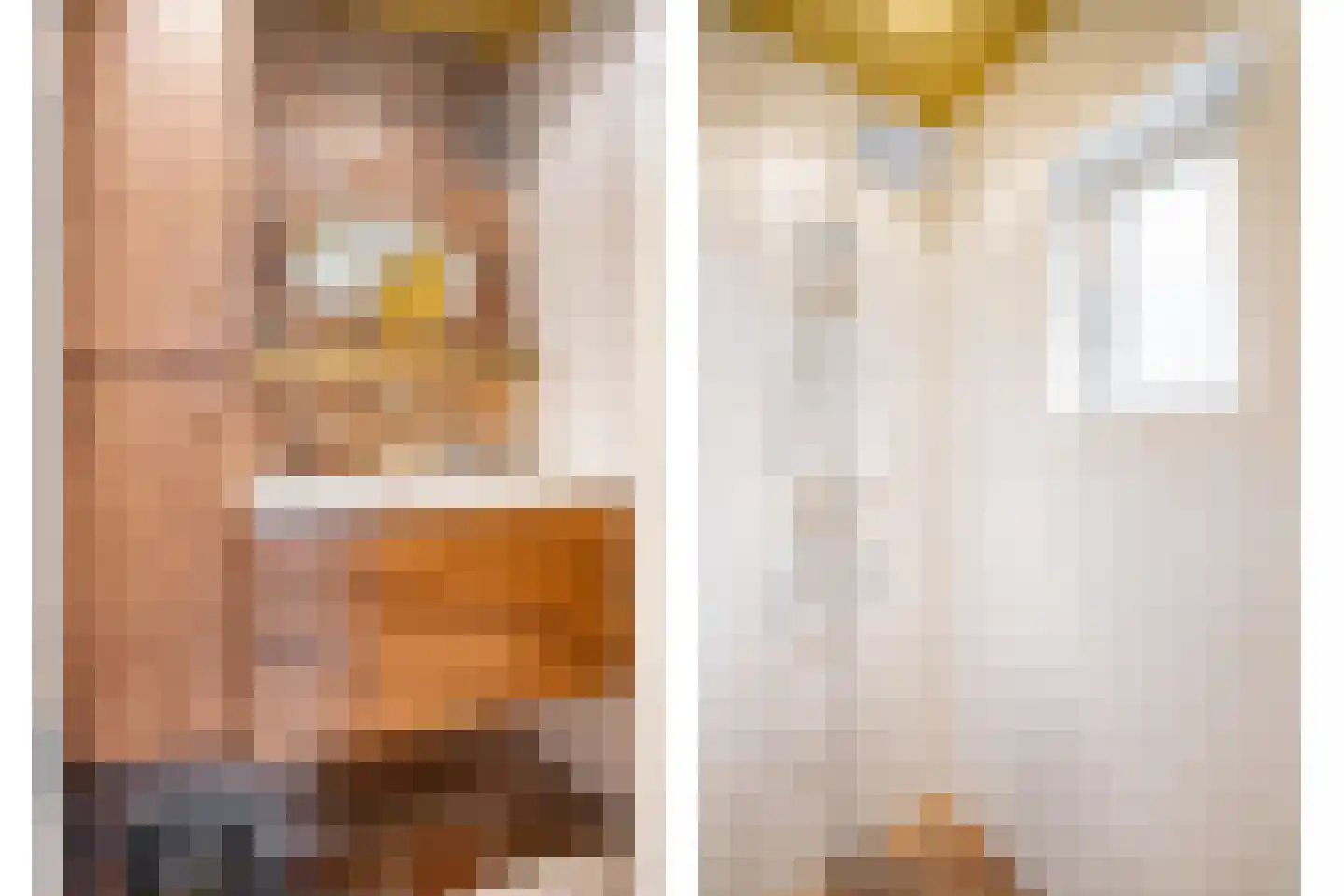 Bannerschultestraat 42 Sleen thumbnail 36
