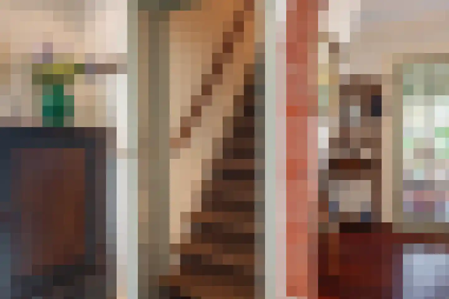 Bannerschultestraat 42 Sleen thumbnail 37