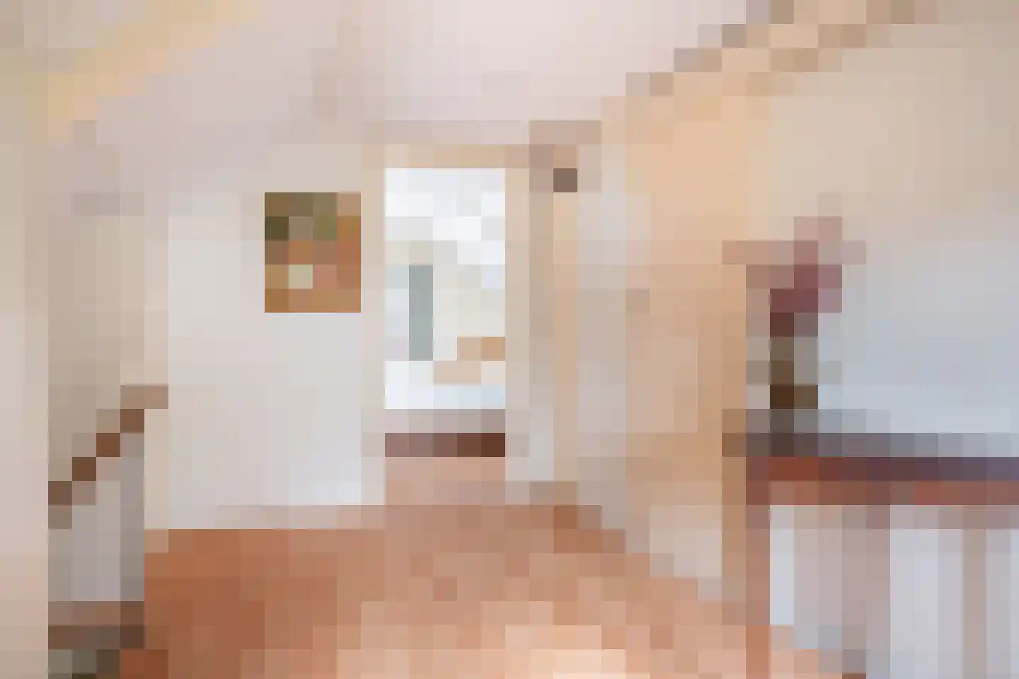 Bannerschultestraat 42 Sleen thumbnail 38