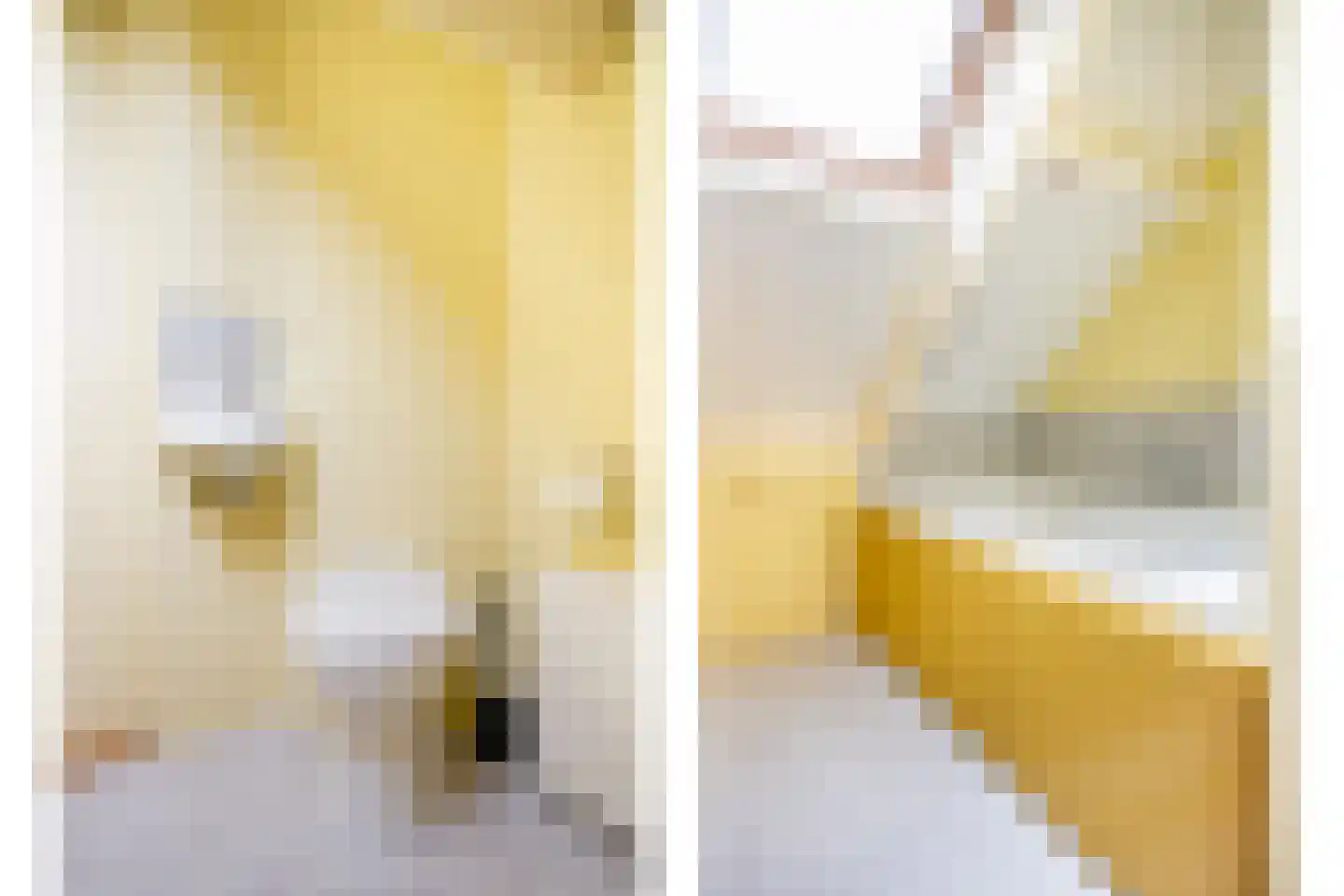 Bannerschultestraat 42 Sleen thumbnail 44