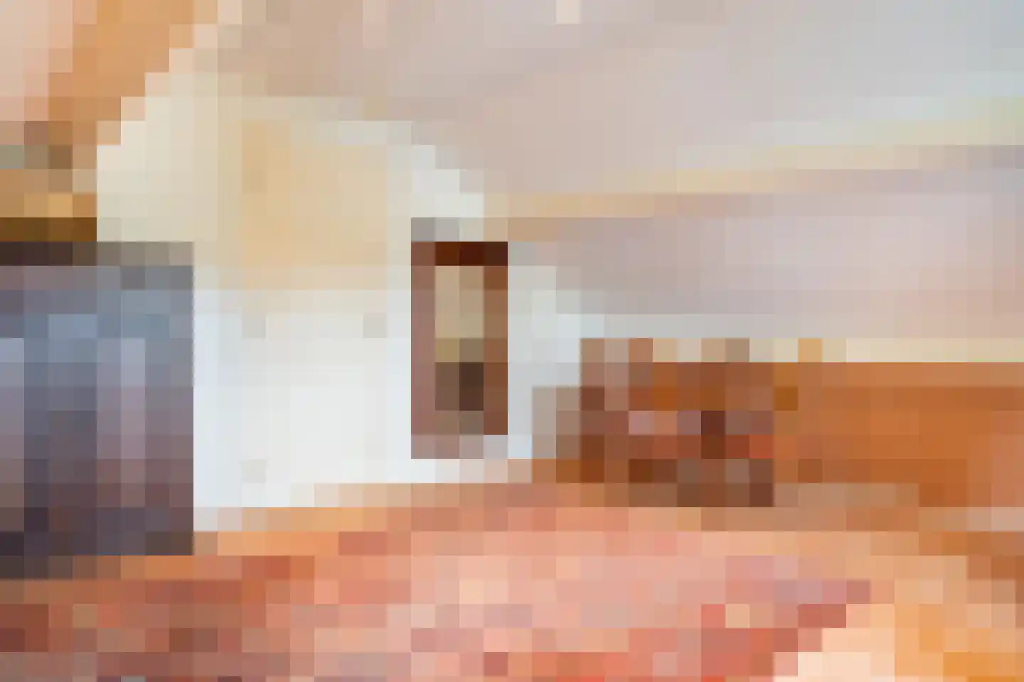 Bannerschultestraat 42 Sleen thumbnail 46