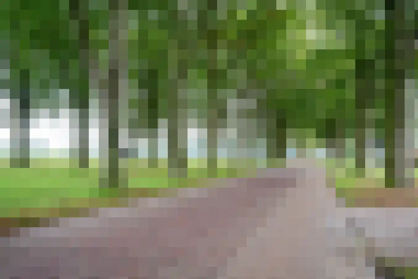 Bannerschultestraat 42 Sleen thumbnail 5