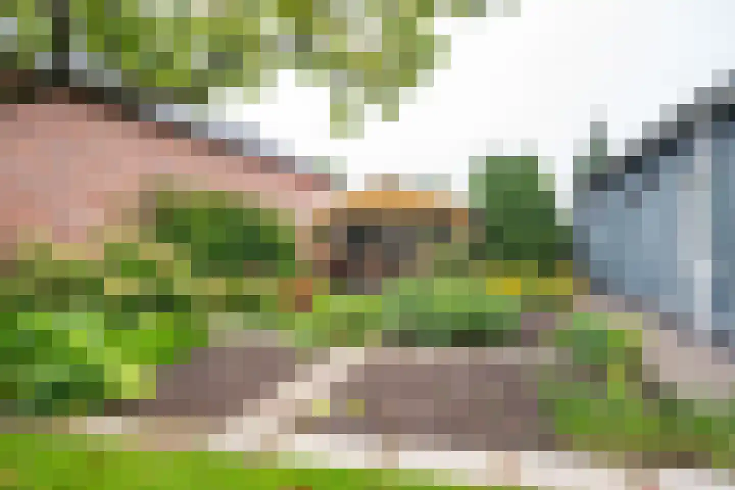 Bannerschultestraat 42 Sleen thumbnail 55