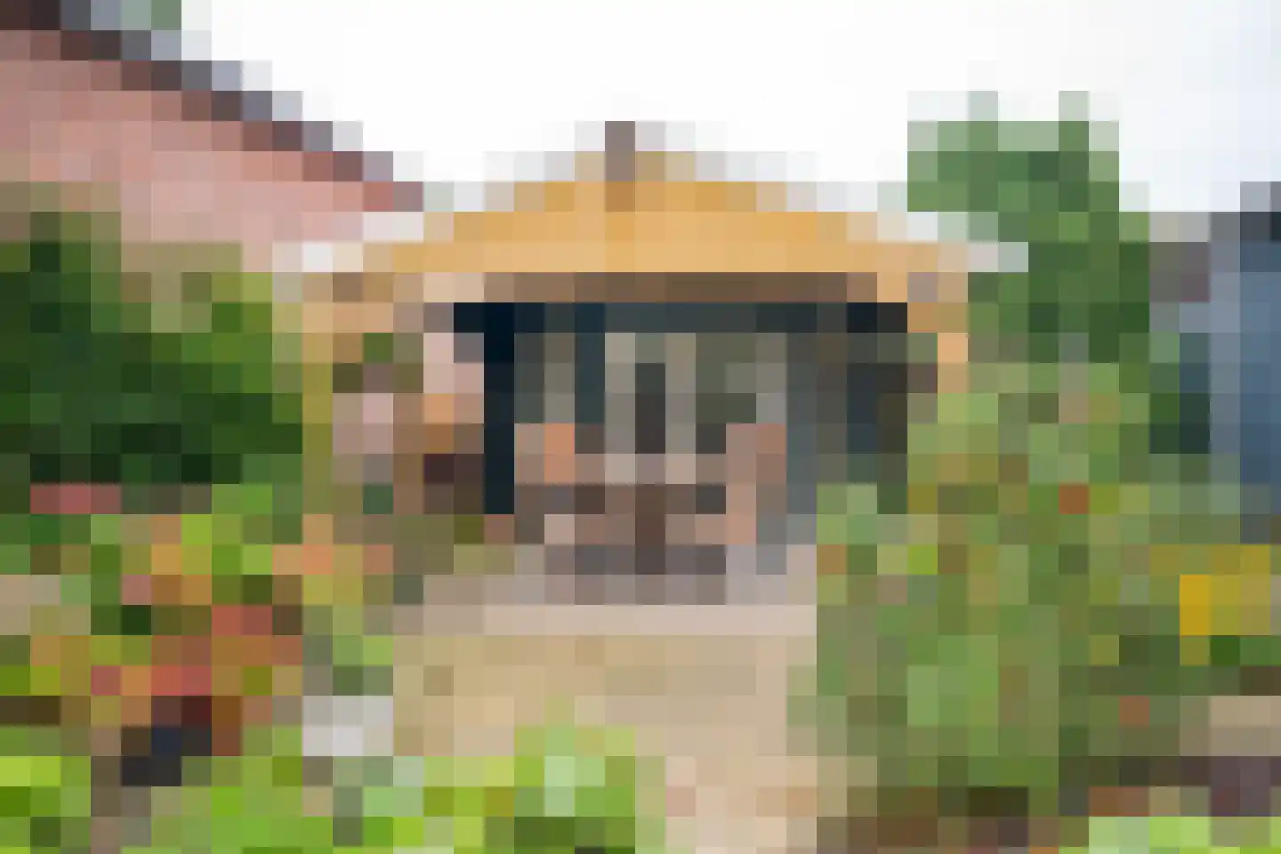 Bannerschultestraat 42 Sleen thumbnail 56