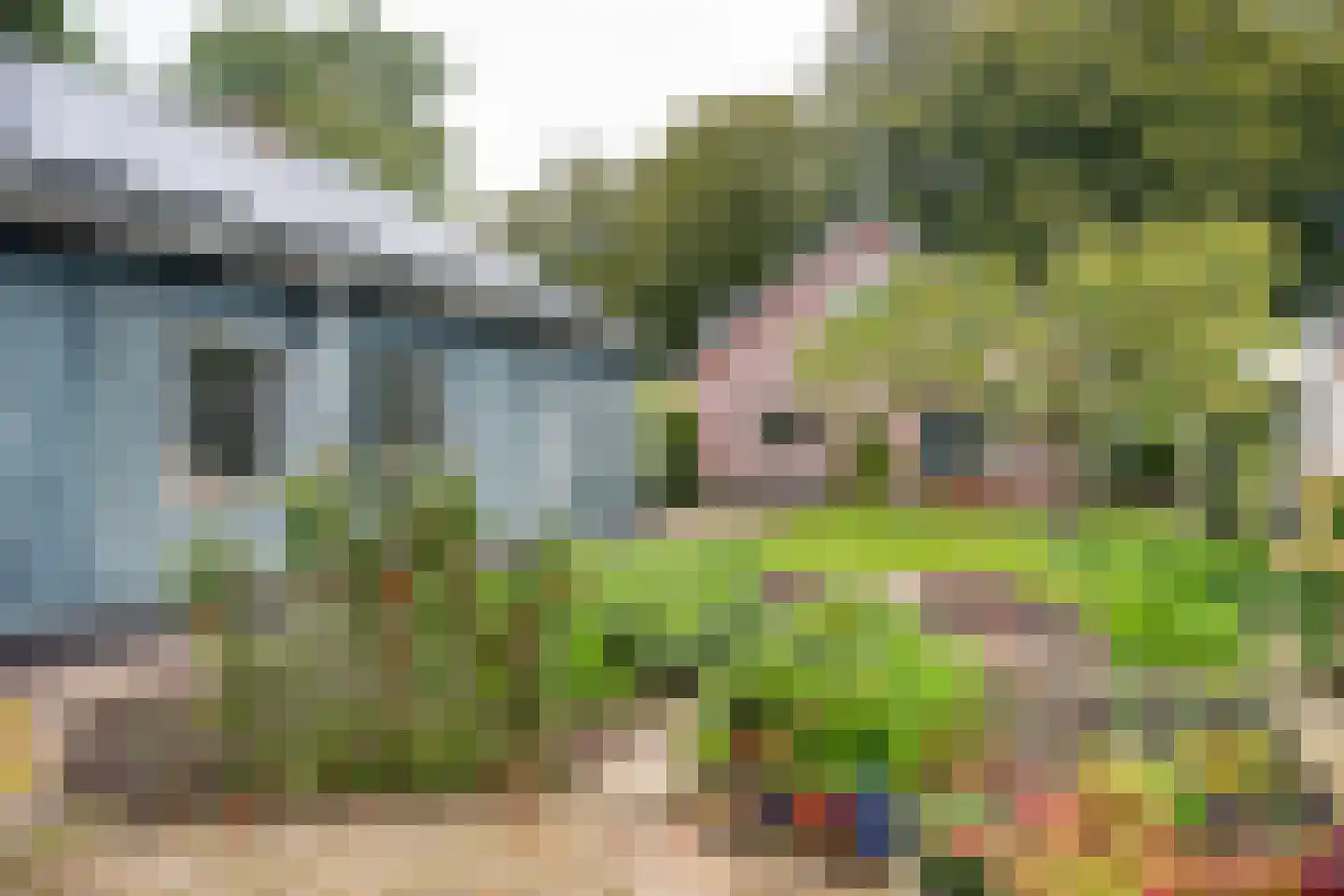 Bannerschultestraat 42 Sleen thumbnail 57
