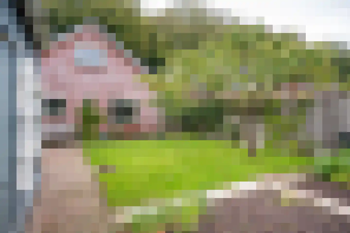Bannerschultestraat 42 Sleen thumbnail 58