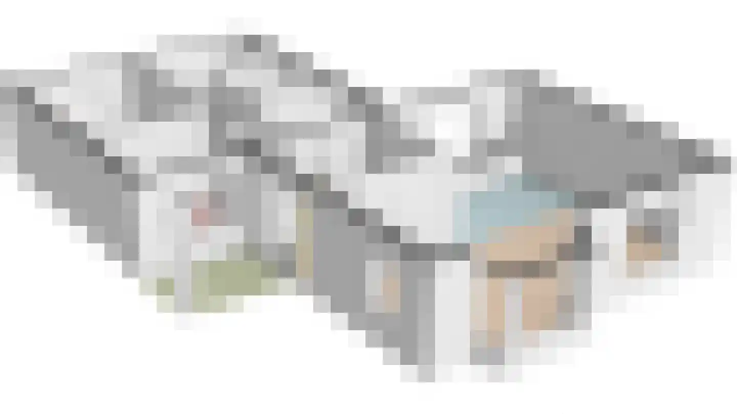Bannerschultestraat 42 Sleen thumbnail 60