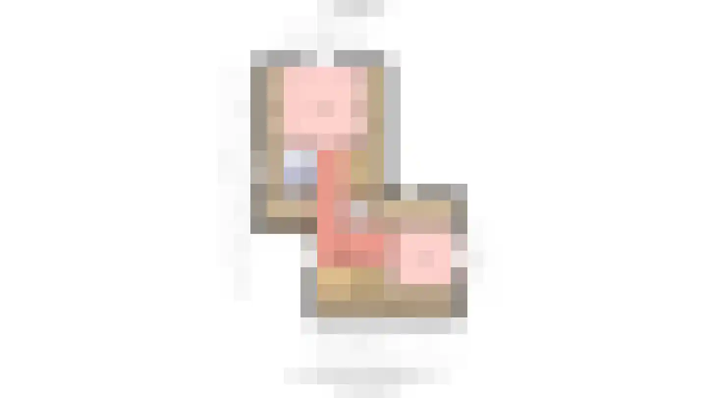 Bannerschultestraat 42 Sleen thumbnail 61
