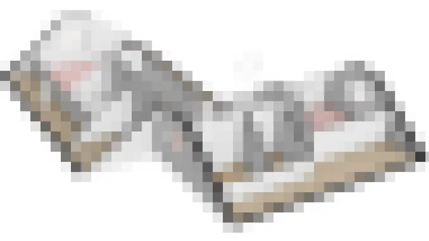 Bannerschultestraat 42 Sleen thumbnail 62